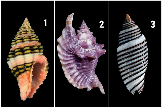 Источник фото: Lifter 