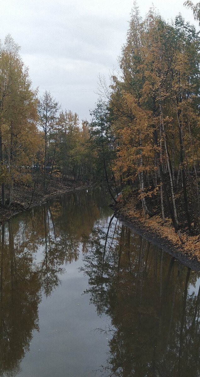 Река Оккервиль