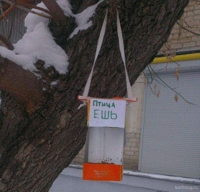 Посмеялся сам - поделись с другом!!!