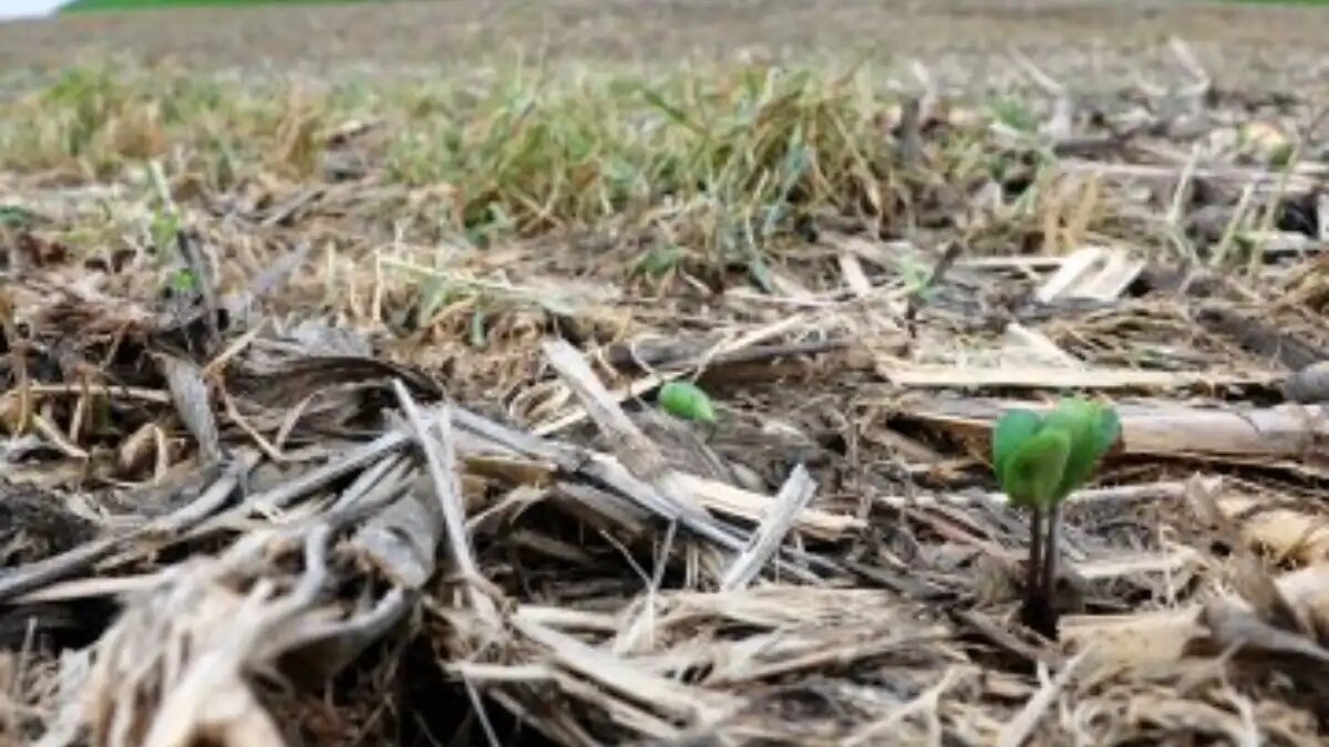 Фото:www.agriculture.com