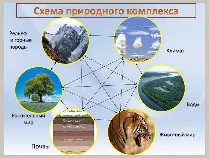 Схема природного комплекса