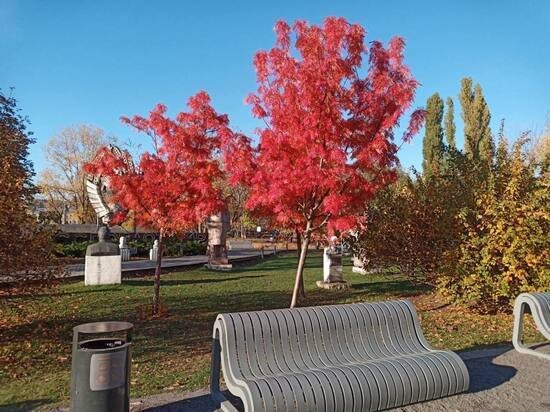     Фото: МК в Туле