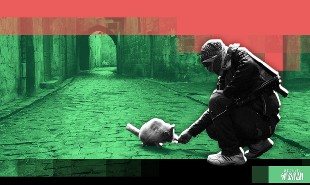    Сирия Иван Шилов © ИА REGNUM