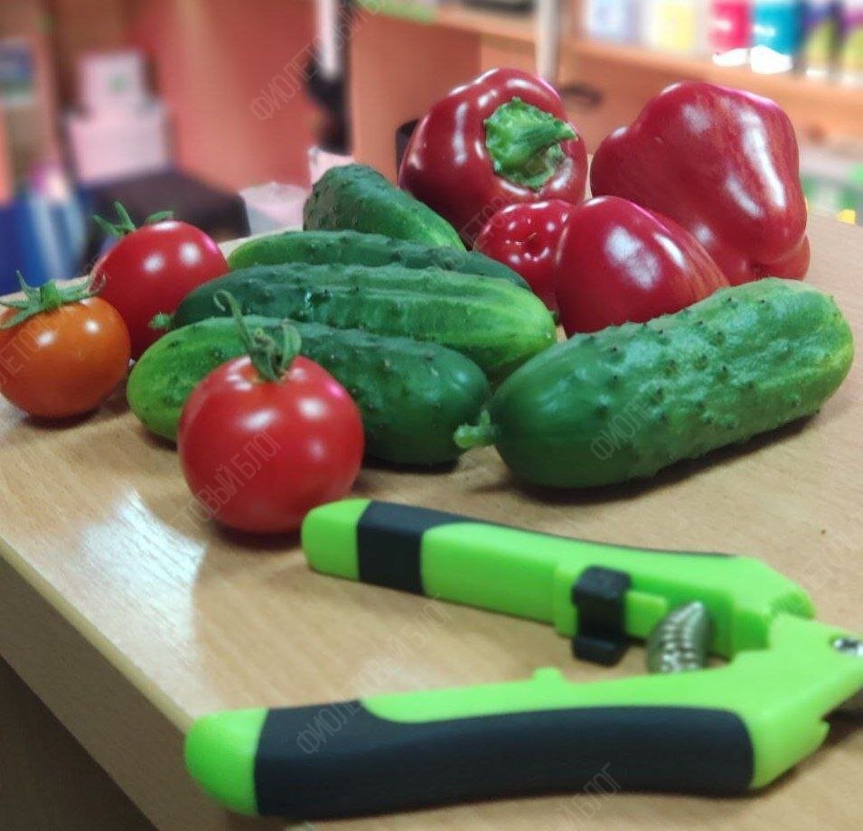 «А че, давайте вырастим!». С этой фразой и с большим потоком вдохновения начали воплощать идею в жизнь.-22