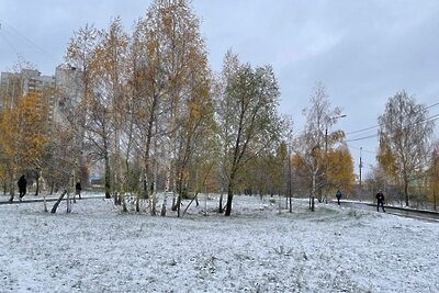    Первый снег ©Владимир Мокшин РИАМО