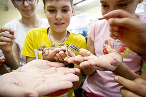Листайте вправо, чтобы увидеть больше изображений
