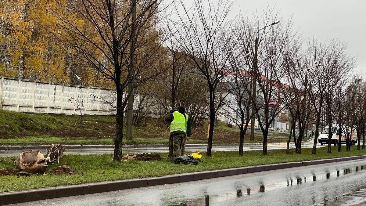     В редакцию Inkazan обратились читатели, обеспокоенные судьбой деревьев, которые сейчас высаживают в городе. По мнению некоторых горожан, в заморозки дорогие деревья могут не прижиться, и городской бюджет будет потрачен зря.