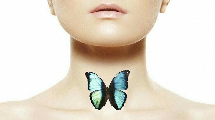 Фото взято из открытых источников интернета