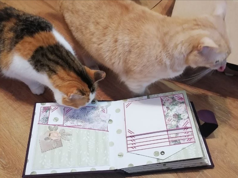 Персик и Элуна на контроле.