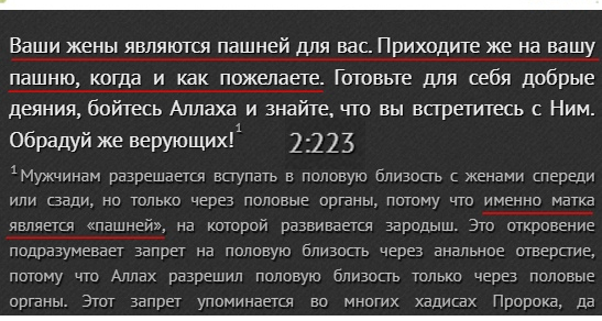 Где в Библии сказано, что оральный и анальный секс, это грех?