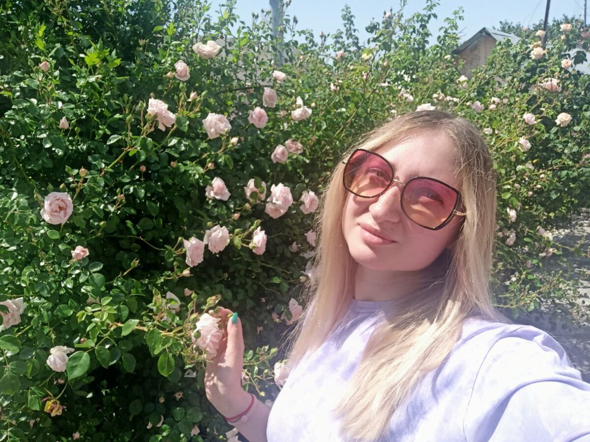  или точнее РОЗОВЫЕ КУСТЫ.