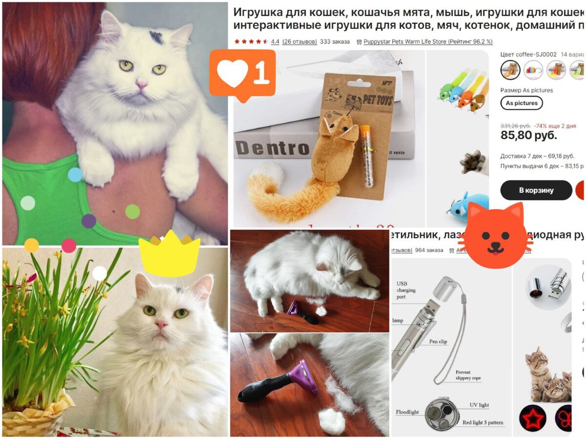 Фото автора