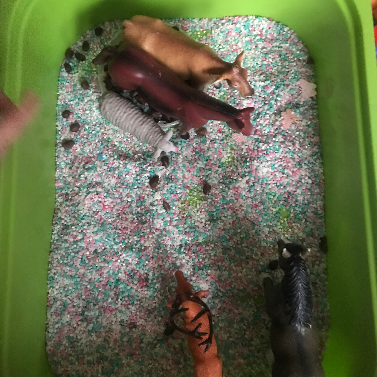 Сенсорные игры. Корм для животных.