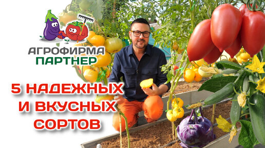 5 надёжных и вкусных сортов