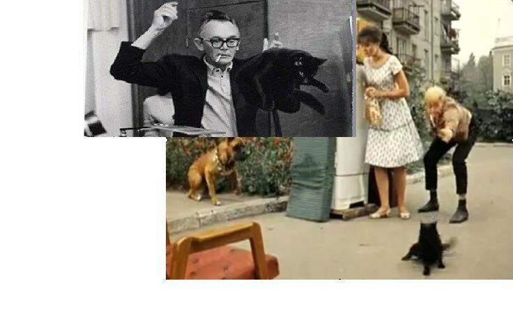 Коллаж из фото со съемок фильма Гайдая «Опepaция "Ы"...»