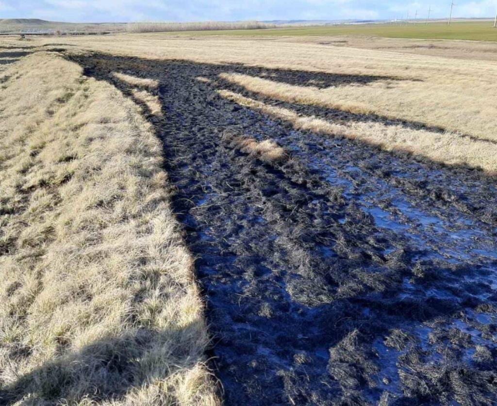    В 2022 году в Оренбургской области произошло 35 случаев загрязнения земли нефтью