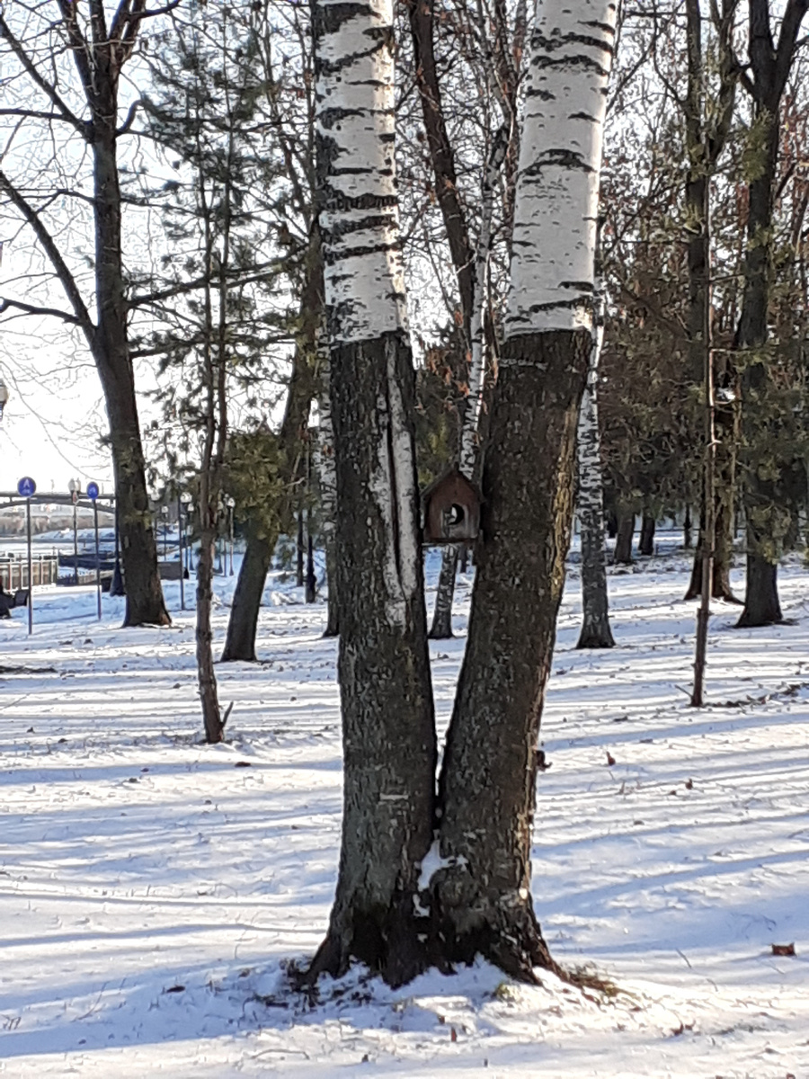 Рукотворная кормушка