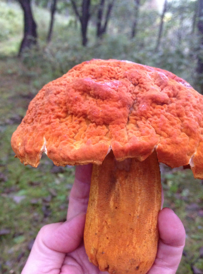 Фото Ирины Павленко