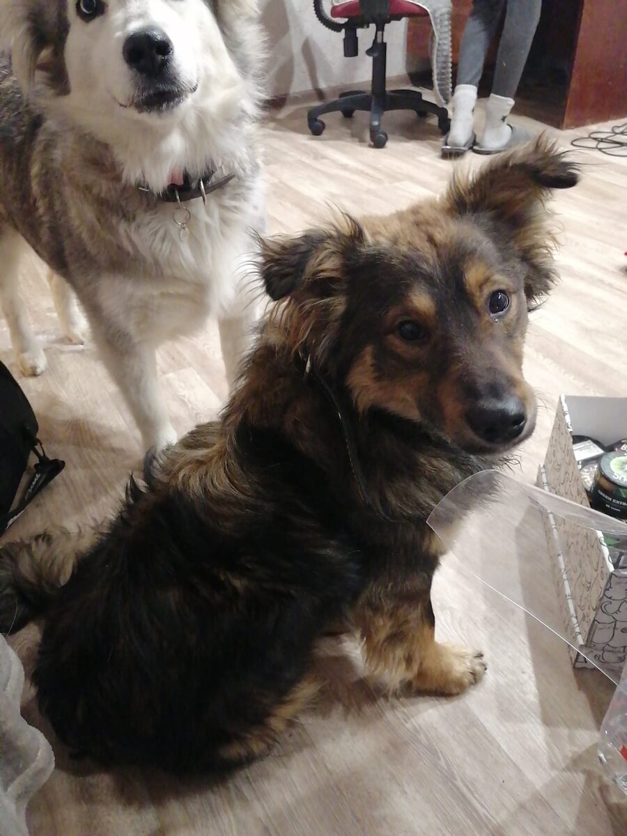 Первые фото Джима у меня дома. 