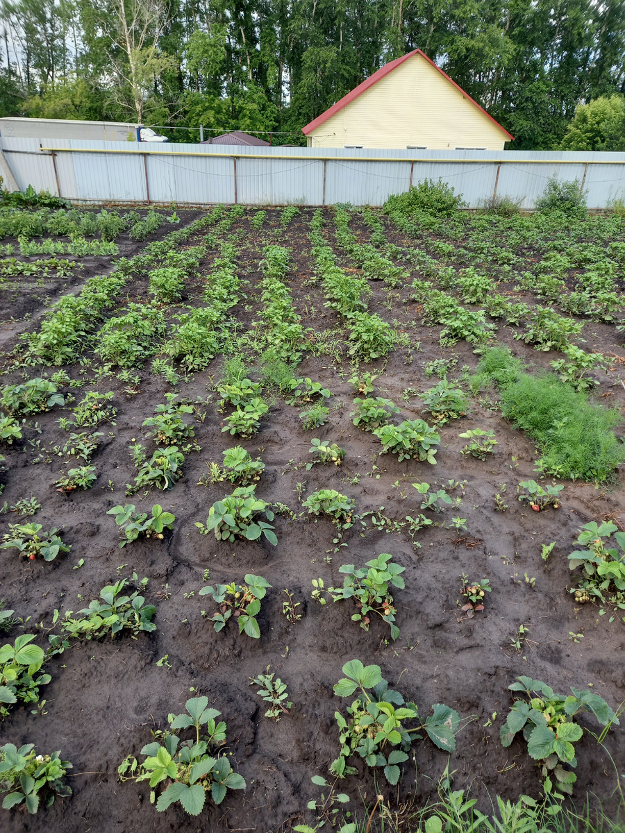 Всё в траве