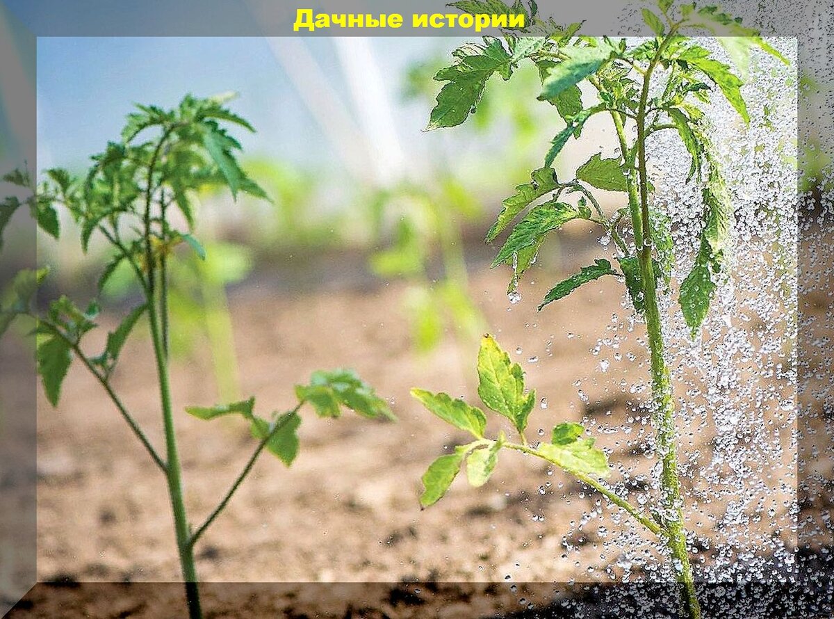 https://vk.com/photo-159774511_457247976
