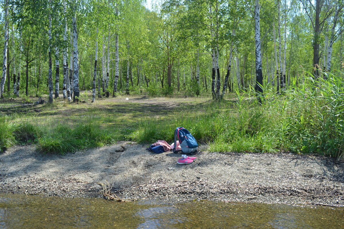 В Кировград на электричке и в Шуралу . Искупалась в местном пруду  Кировграда. | Малайка с балалайкой | Дзен