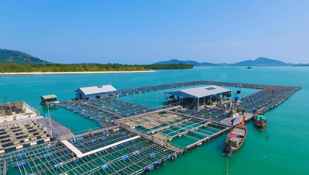 Жемчужная ферма Пхукета