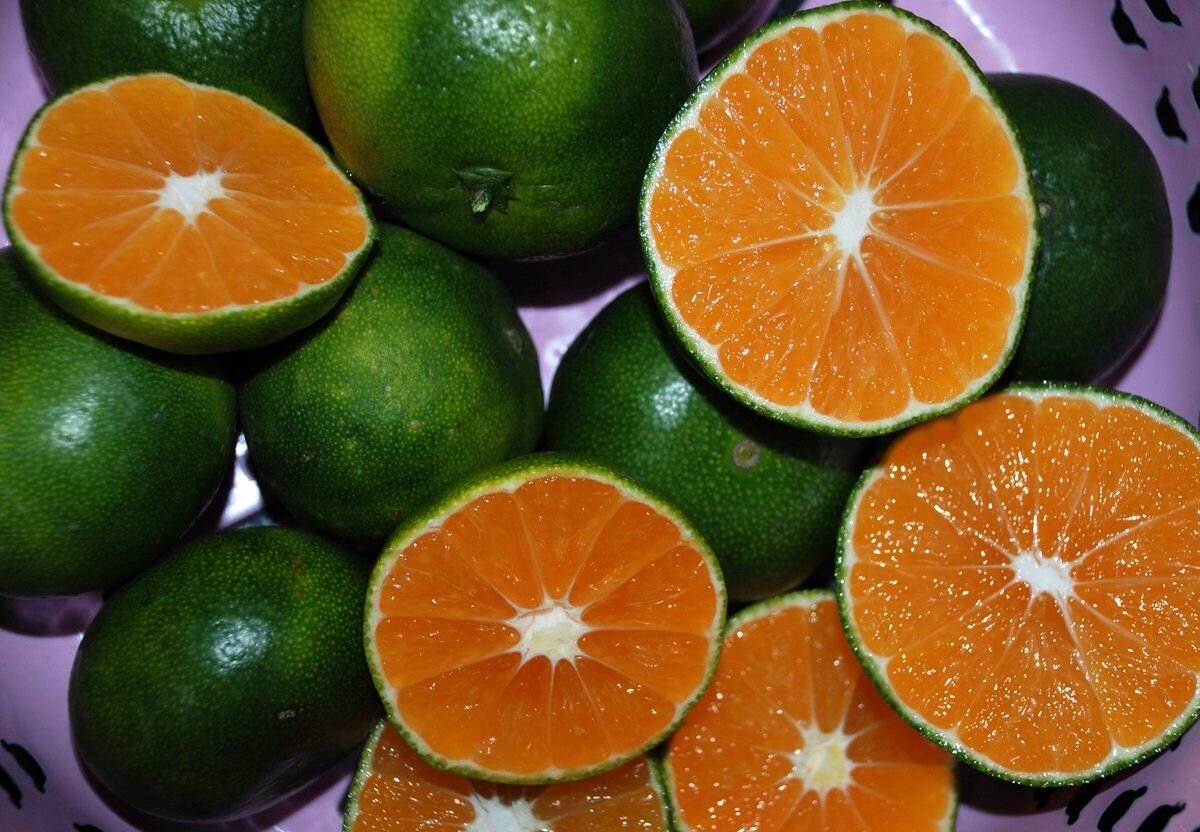 У отца есть 5 различных апельсинов. Гибрид лайм и мандарин. Померанец зеленый фрукт. Зеленый цитрус похожий на мандарин. Цитрус с зеленой кожурой.