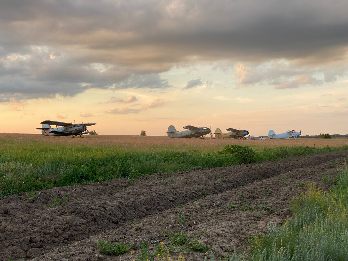 Нашли в степях заброшенный аэродром с полувековыми Ан - 2. Хотел поснимать,  но мужики насторожились | Жизнь в движении | Дзен