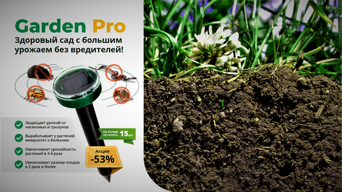 Фото с общедоступного источника