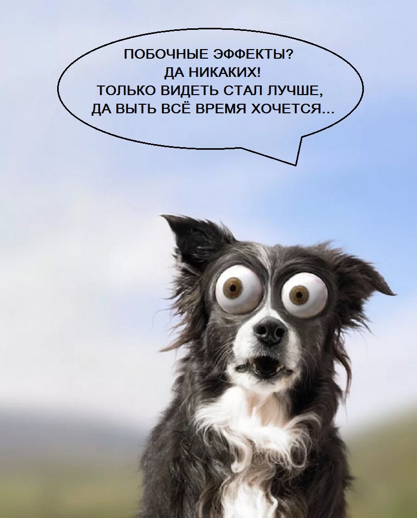 Автор: канал «Есть такое мнение»