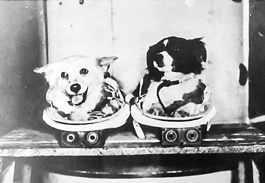 Дезик и Цыган — первые собаки, совершившие полёт на геофизической ракете В-1В (Р-1В) в верхние слои атмосферы 22 июля 1951 года с полигона Капустин Яр в Астраханской области в рамках проекта ВР-190 — запуска человека на ракете по баллистической траектории.