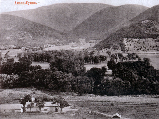 Сукко старинный.