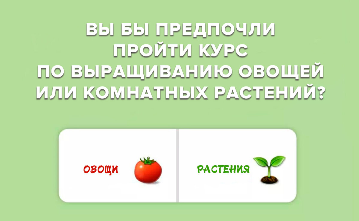 Как протестировать контент онлайн-курса с помощью историй Instagram?  Несколько классных советов! | Платформа онлайн школ Glokurs.ru | Дзен