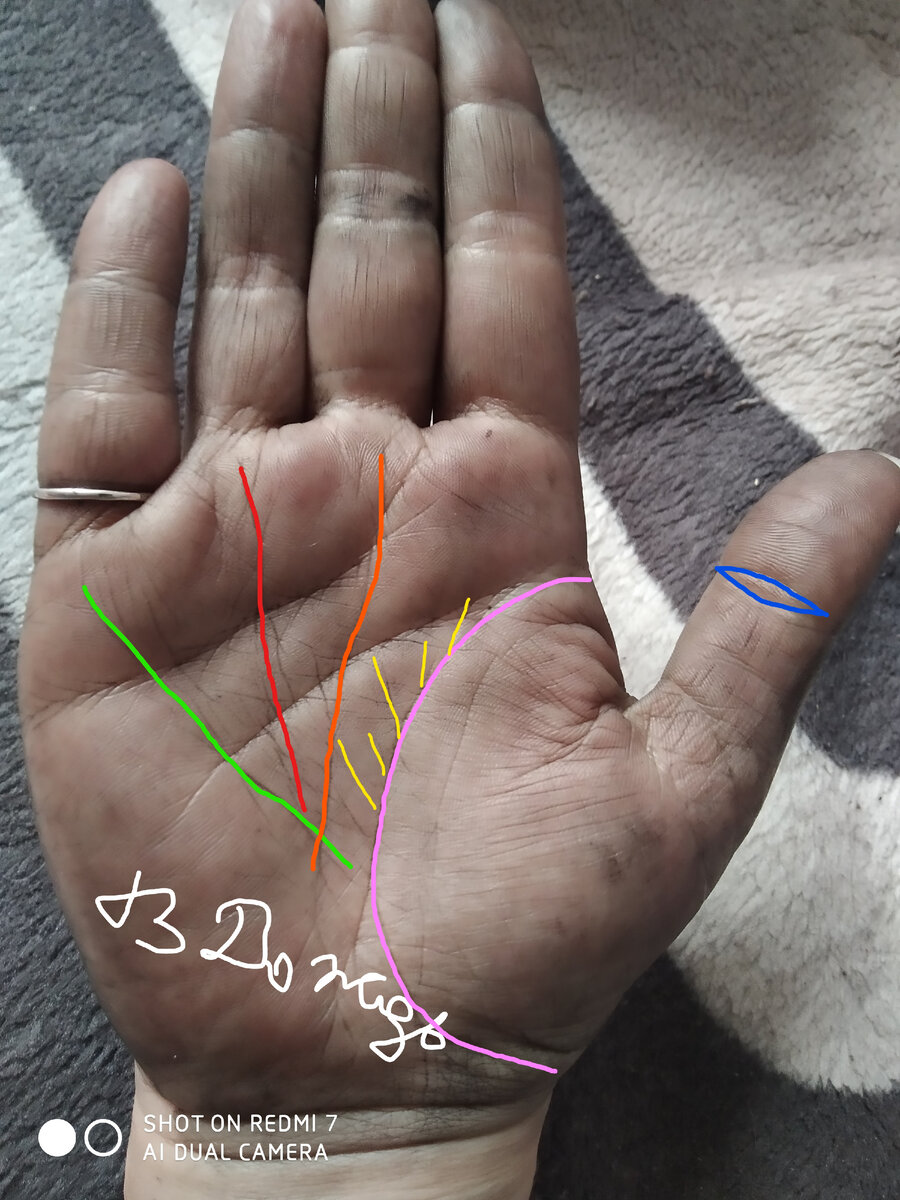 Знаки денег на руке. Василиса Дождь