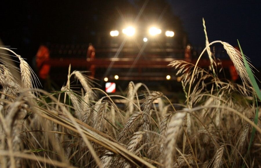 Уборка зерновых идет и днем, и ночью – на то и битва за урожай
