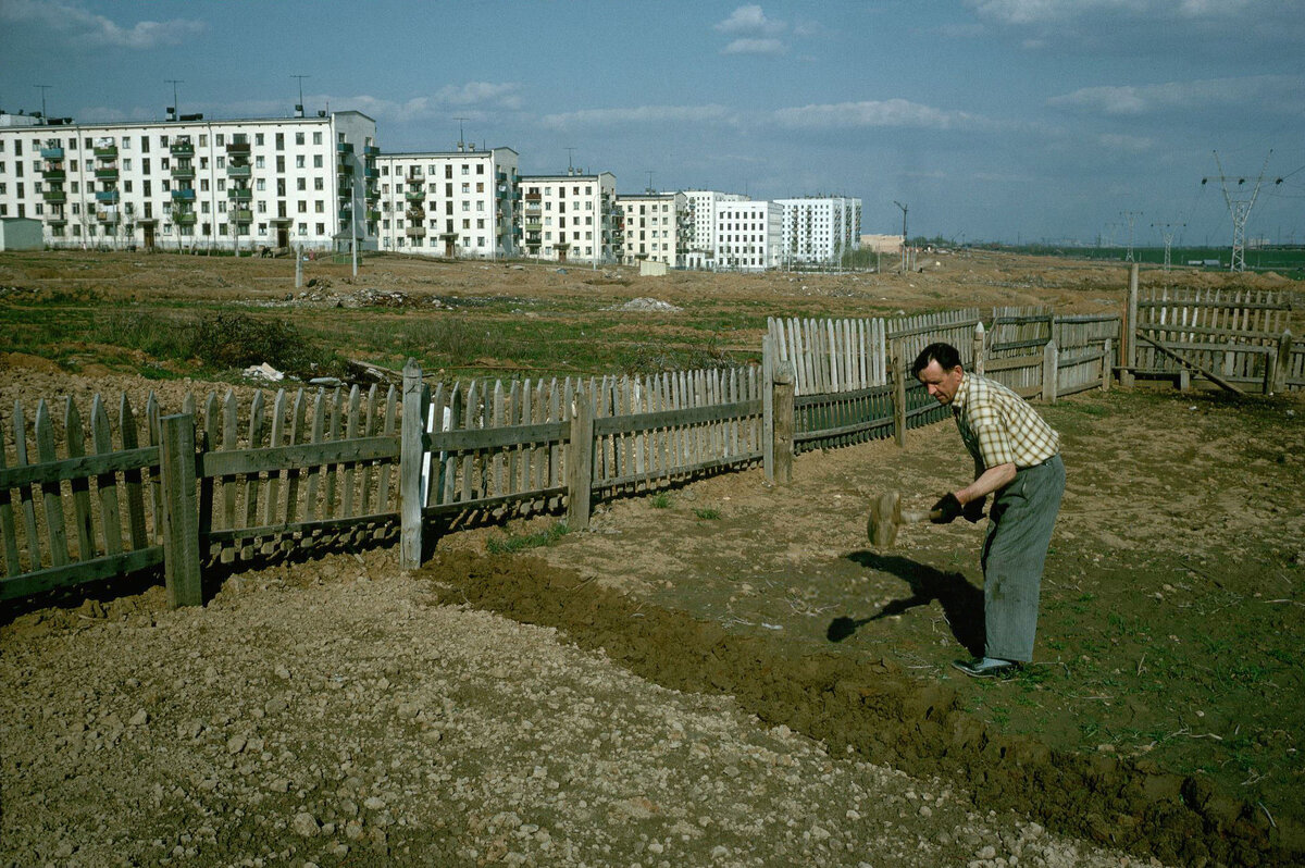 Вот еще деревенская фотография. Сделана в Зюзино. Тут огород на фоне хрущевок. В Москве еще поискать надо такой огород, а вот в других российских городах сейчас – как на картинке: деревяшки на фоне новостроек.