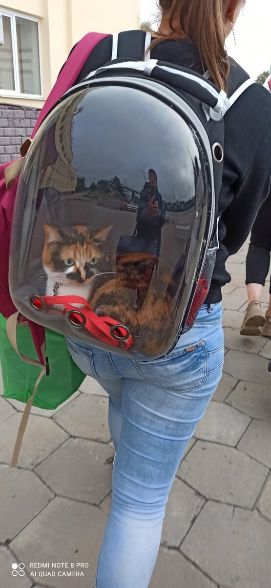 Мусенька