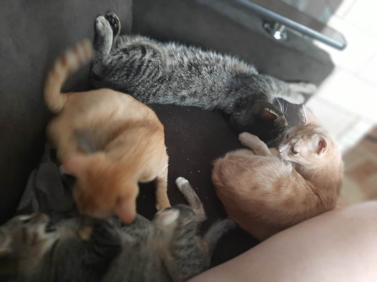 Обычное утро