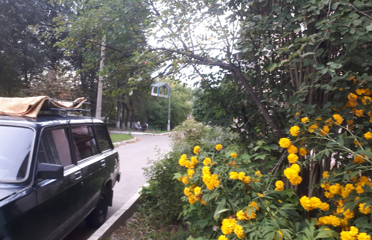новость по городку разлетелась быстро. Фото автора