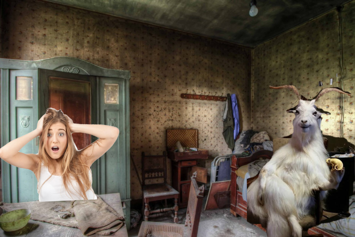 Яндекс Коллаж