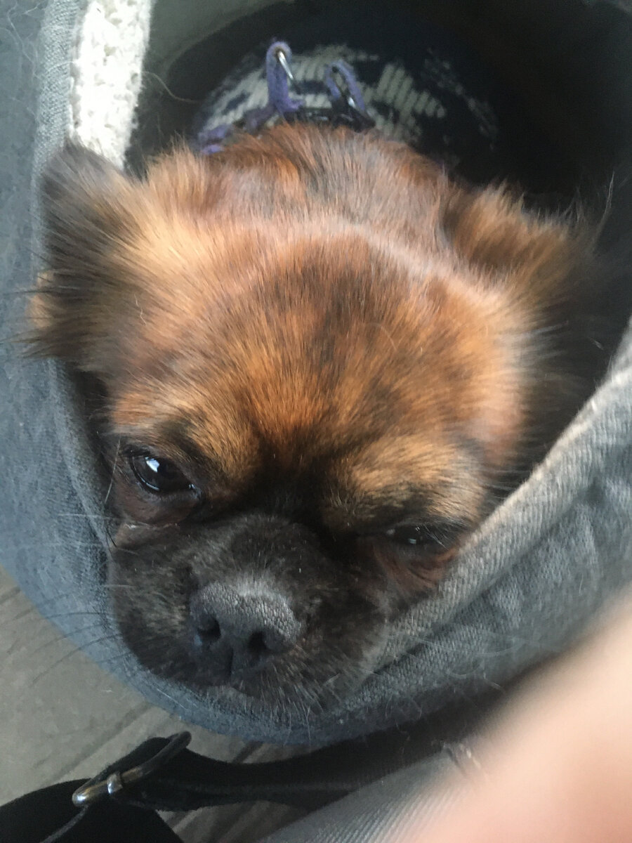 Личное фото 