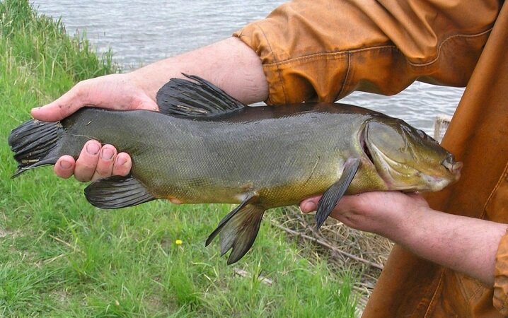 master-fisher.ru