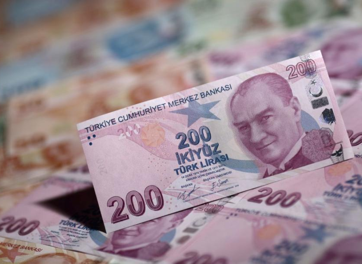 рубли на лиры в турции 2024. турецкие купюры и монетки. рубли на лиры в турции 2024. монеты и купюры разных стран. динамика падения турецкой лиры.