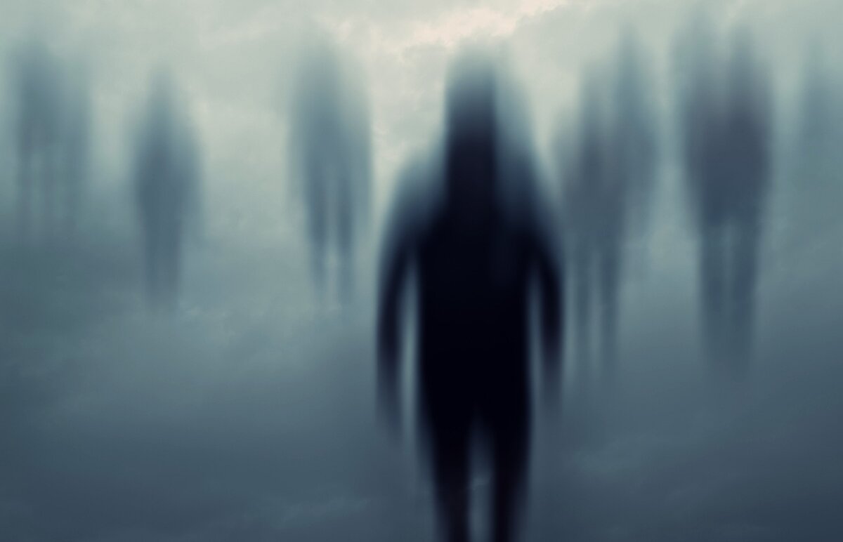 фото из поисковой системы Яндекс