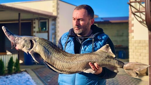 Шашлык из сибирского осетра на мангале.