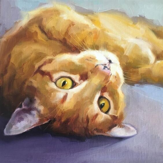 Яндекс картинки