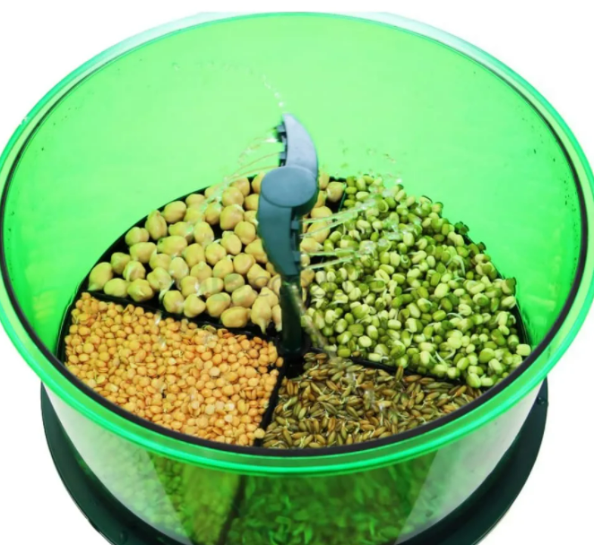 Какой выбрать проращиватель семян и получить отличный результат | ДачаМания  | Дзен