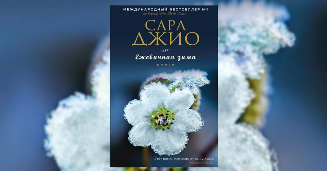 Книжка тайна становится ясным. Книга зимний дом 2.