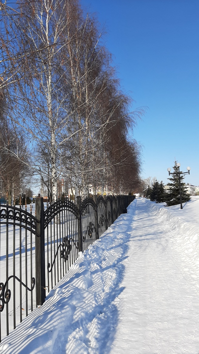 Моя жизнь 5 февраля 